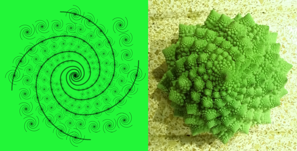 broccolo frattale