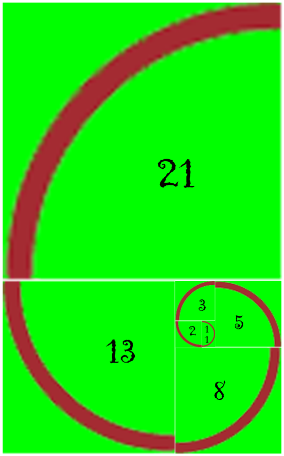 spirale di Fibonacci